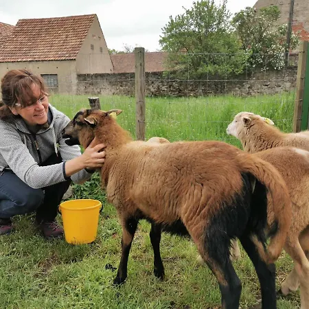 Rosenhof Prázdninový dům *