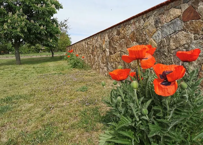 Nyaraló Rosenhof Glaubitz