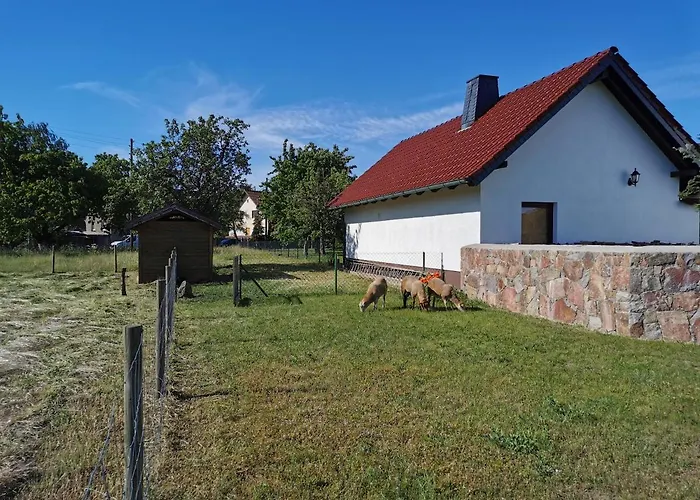 Nyaraló Rosenhof Glaubitz